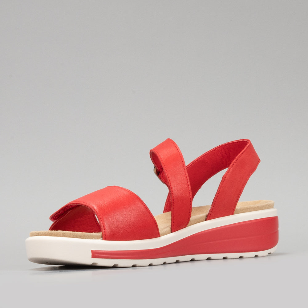 Hawai - Red - NAKED ARCHES