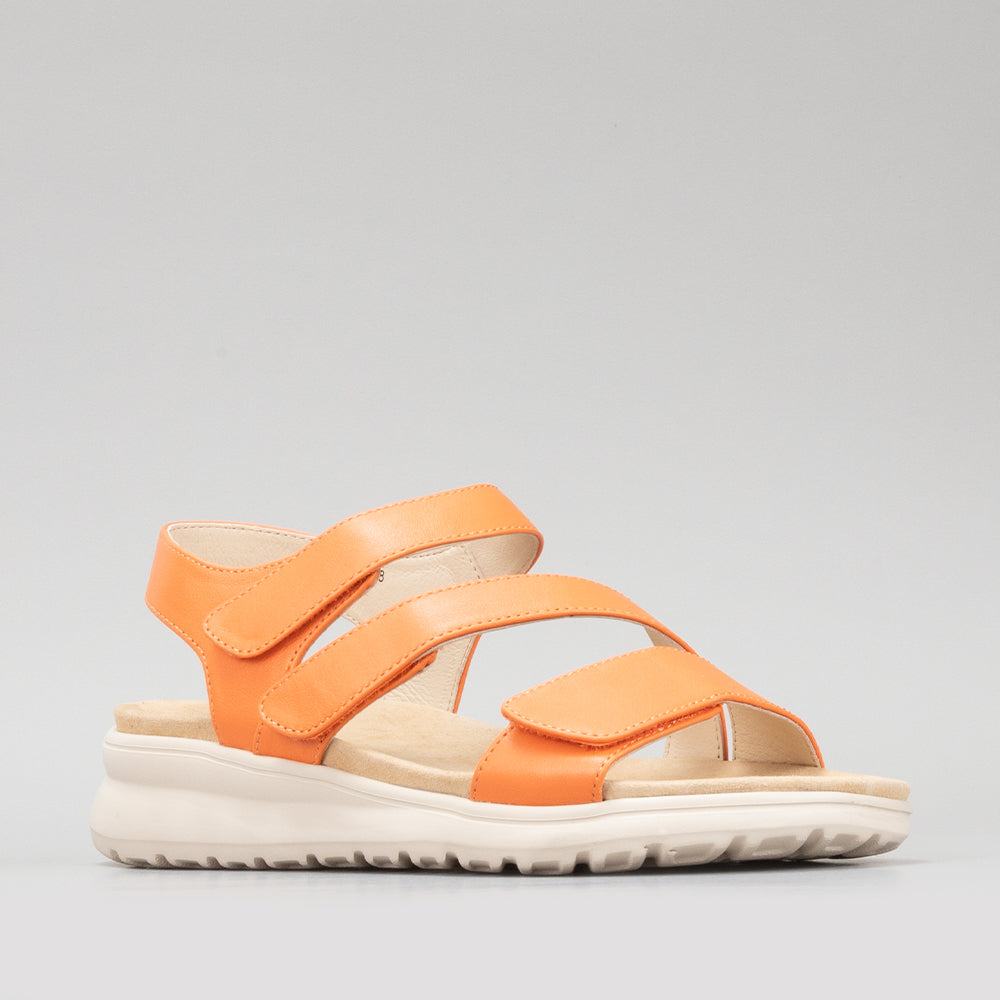 Punia - Sunburn Orange