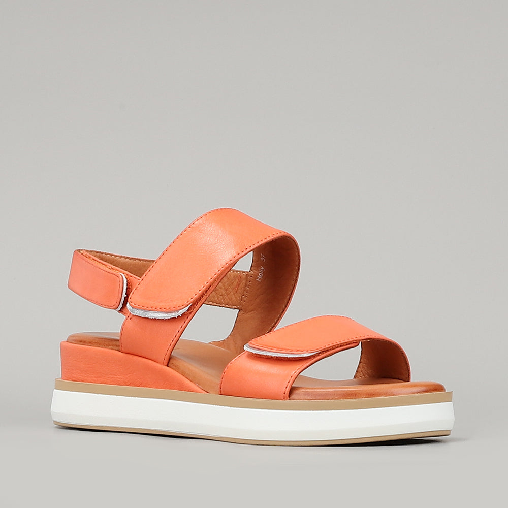 Holly - Orange