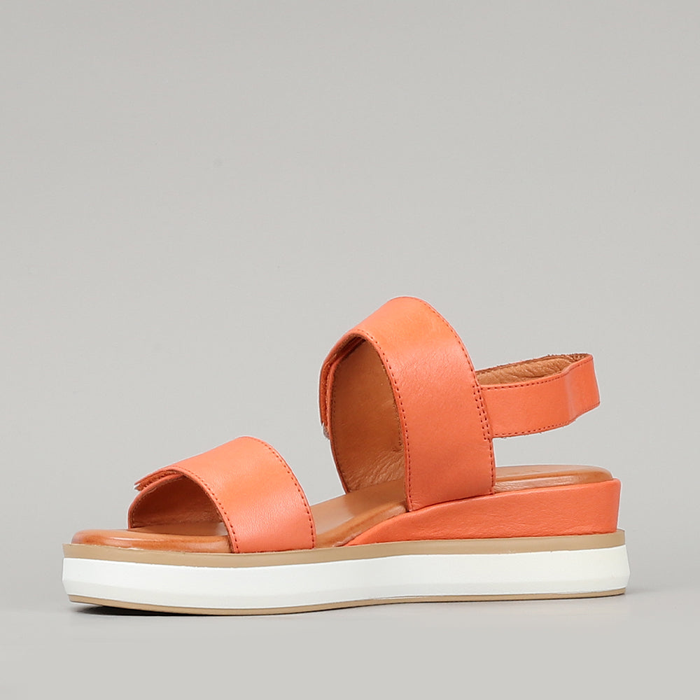 Holly - Orange