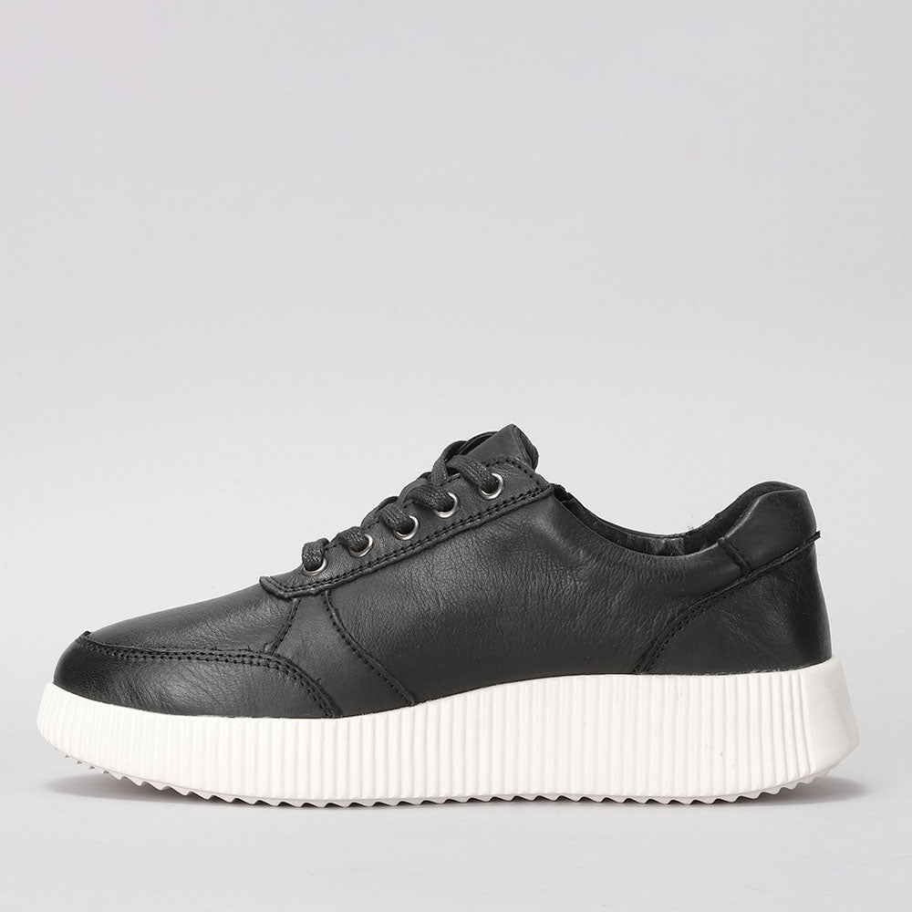 Cosco - Black - LE SANSA