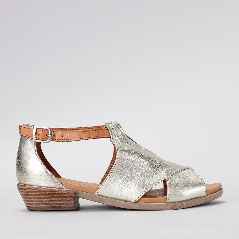 Digby - Gold Tan - LE SANSA