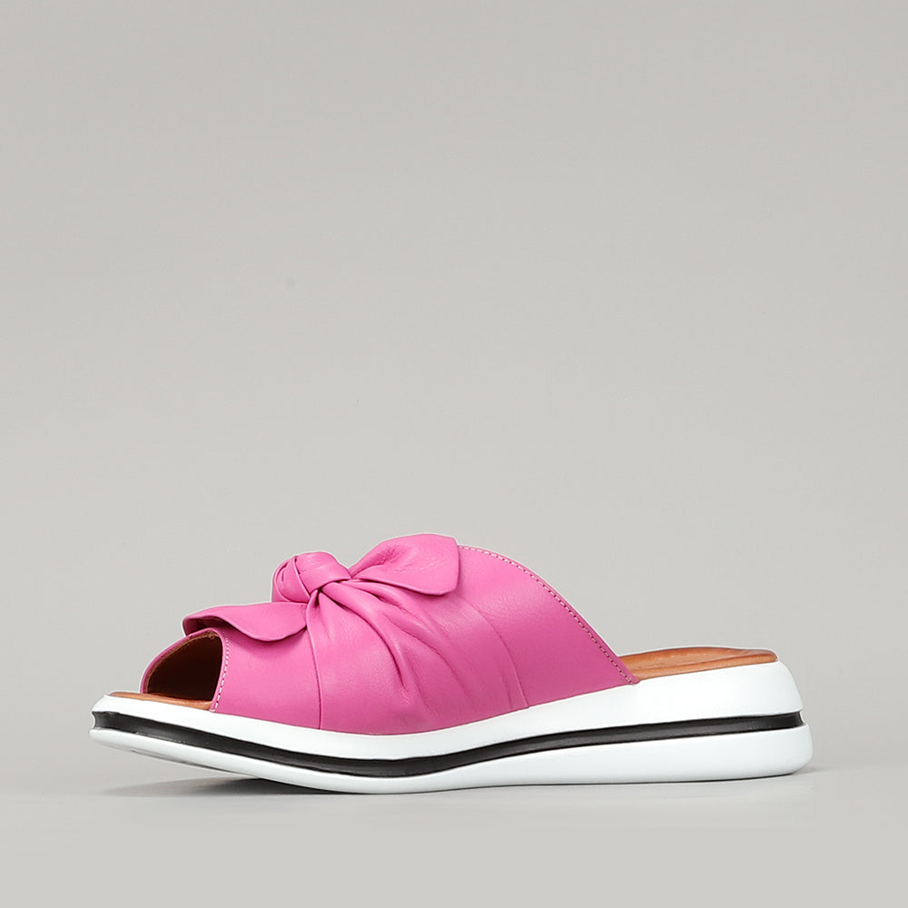 Salsa - Hot Pink/Black line
