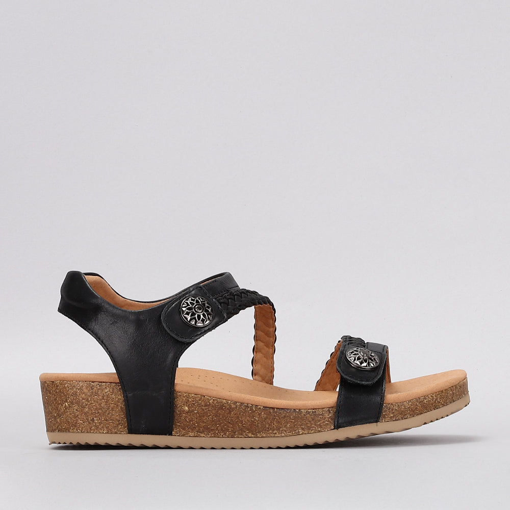Sequoila - Black - Naked Arches