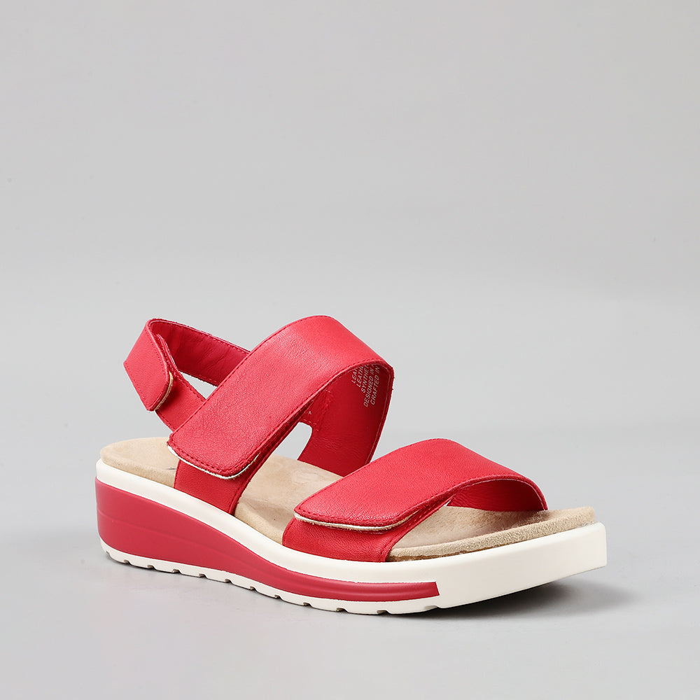 Hanza - Dk Red - Naked Arches